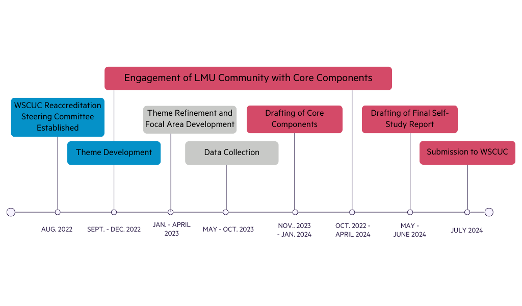 A timeline graphic depicting a timeline of the self study for WSCUC